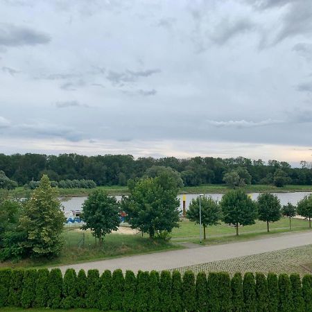 Ferienwohnung Zur Dexter-Zucht Coswig Coswig  Exteriör bild