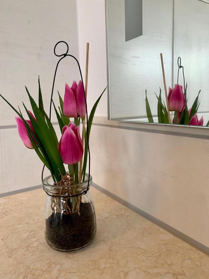 Ferienwohnung Zur Dexter-Zucht Coswig Coswig  Exteriör bild