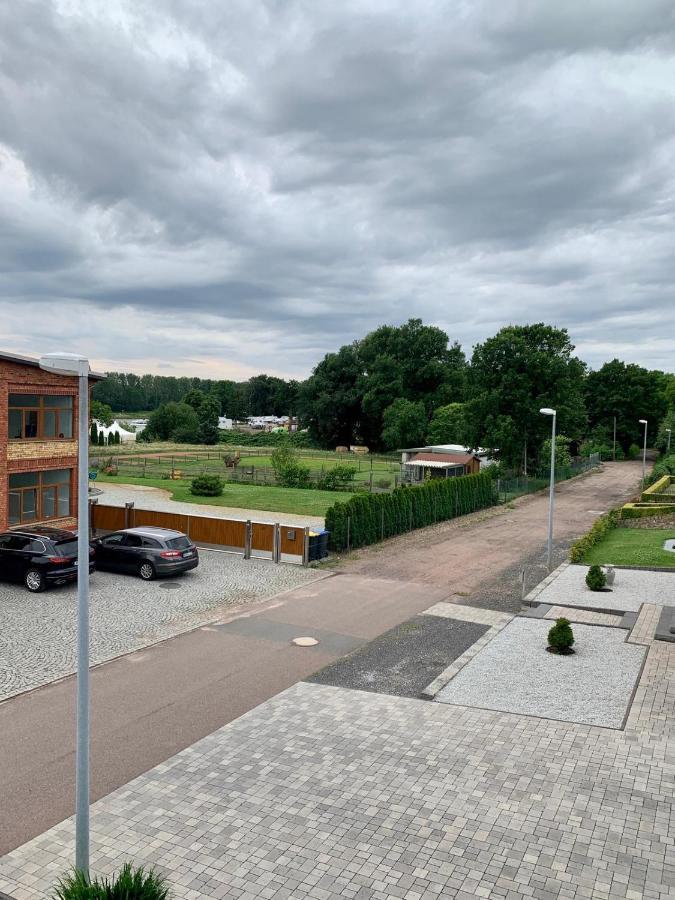 Ferienwohnung Zur Dexter-Zucht Coswig Coswig  Exteriör bild