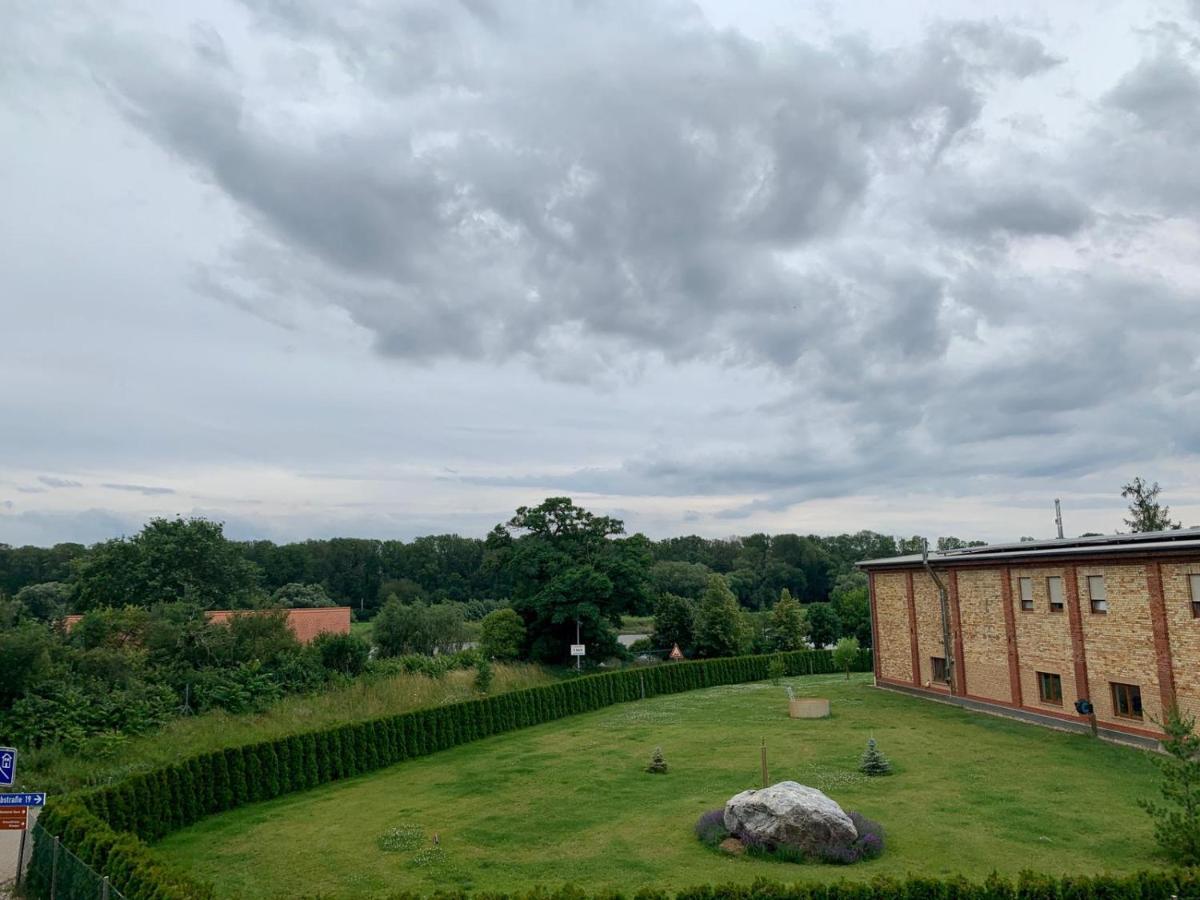 Ferienwohnung Zur Dexter-Zucht Coswig Coswig  Exteriör bild